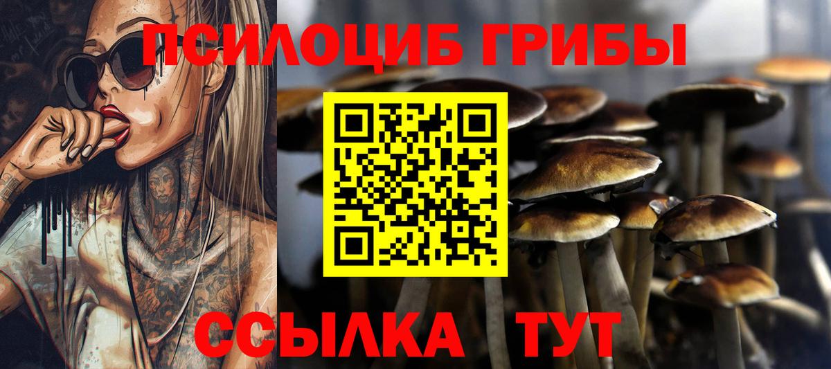 Галлюциногенные грибы мухоморы  Вход с VPN  Псилоцибиновые грибы прущие грибы  Апрелевка 