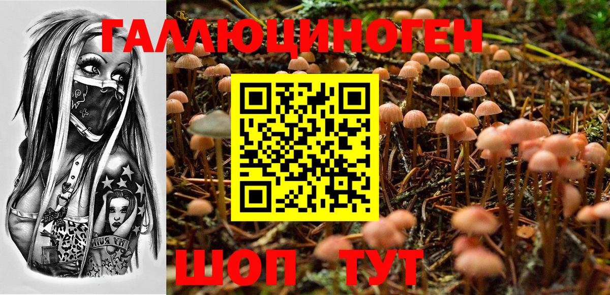 Галлюциногенные грибы мухоморы Апрелевка